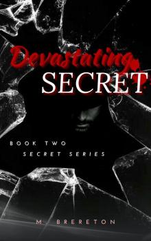 Devastating Secret: Book 2 - Secret Series