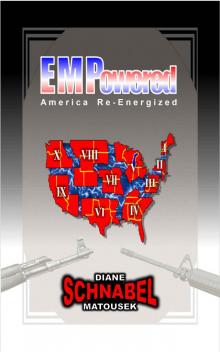 EMPowered- America Re-Energized