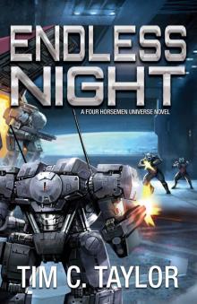 Endless Night (The Guild Wars Book 3)