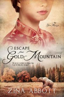 Escape From Gold Mountain