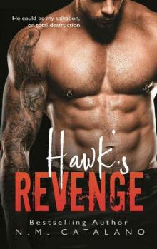 Hawk's Revenge