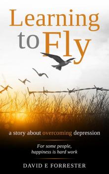 Learning to Fly: A story about overcoming depression