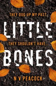 Little Bones