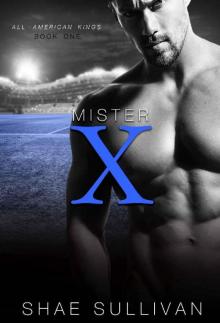 Mister X