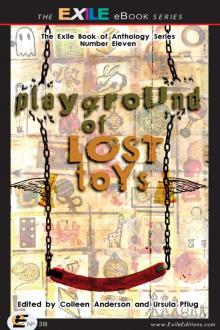 Playgroung of Lost Toys