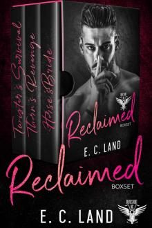 Reclaimed: A Devil's Riot MC Boxset