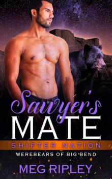 Sawyer's Mate (Shifter Nation: Werebears Of Big Bend)