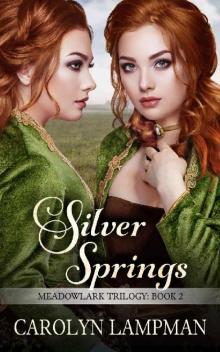 Silver Springs