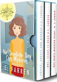 Snowflake Bay Cozy Mysteries Boxset 1