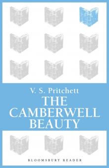 The Camberwell Beauty