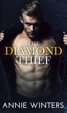 The Diamond Thief: An Enemies to Lovers Romantic Suspense