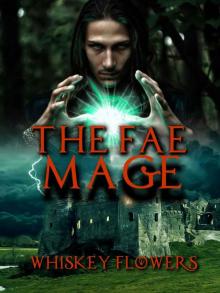 The Fae Mage