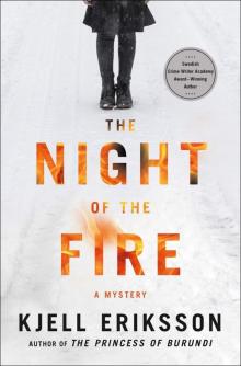 The Night of the Fire: A Mystery