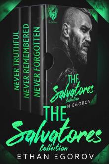 The Salvatores Collection: A Steel Saviors MC Romance