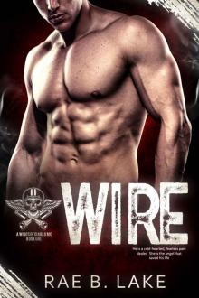 Wire: A Wings of Diablo MC Novel