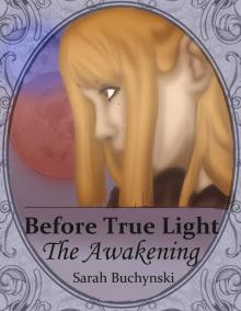 Before True Light: The Awakening 2nd Edition