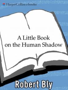 A Little Book on the Human Shadow