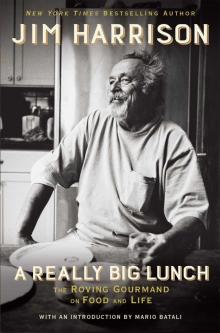 A Really Big Lunch: Meditations on Food and Life From the Roving Gourmand