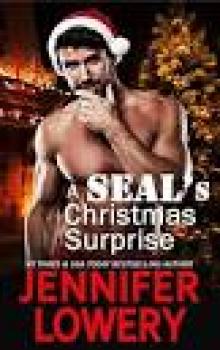 A SEAL's Christmas Surprise (A SEAL Team Alpha Novella)