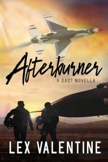 Afterburner: A DADT Novella