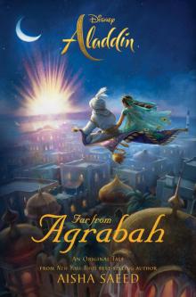 Aladdin- Far From Agrabah