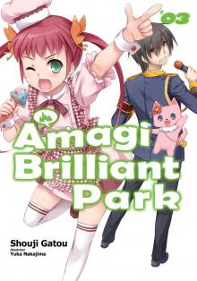 Amagi Brilliant Park: Volume 3 (Premium)