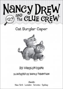 Cat Burglar Caper