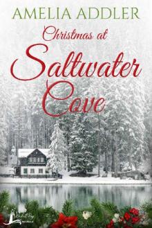 Christmas at Saltwater Cove: a Westcott Bay novella