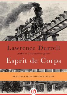 Esprit De Corps: Sketches From Diplomatic Life