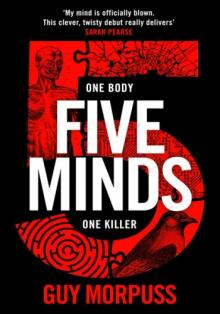 Five Minds