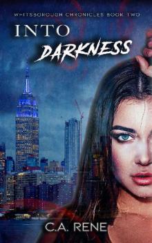 Into Darkness (Whitsborough Chronicles Book 2)