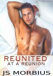 Reunited At A Reunion: A MM Second Chance Romance