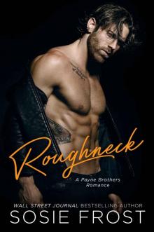 Roughneck: A Payne Brothers Romance