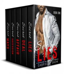 Secret Series: A Stealthy Billionaire Romance Box Set