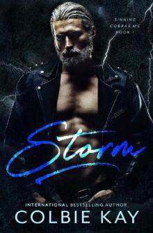 Storm (Sinning Cobras MC Book 1)