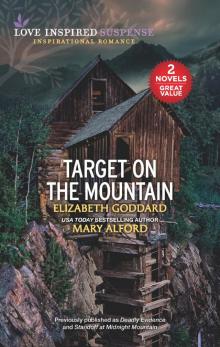 Target on the Mountain