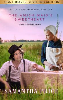 The Amish Maid's Sweetheart