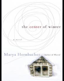 The Center of Winter: A Novel
