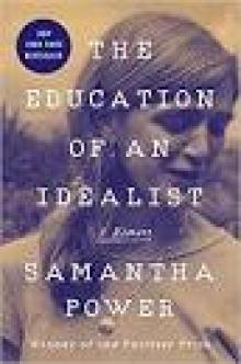 The Education of an Idealist