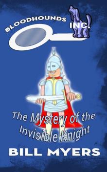 The Mystery of the Invisible Knight