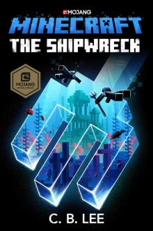 The Shipwreck: An Official Minecraft Novel