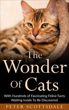 The Wonder of Cats