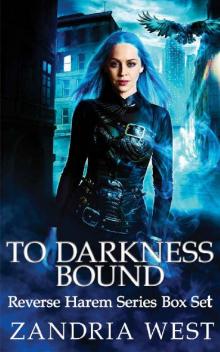 To Darkness Bound Box Set