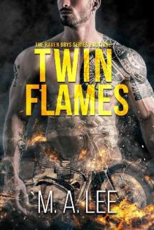 Twin Flames (The Raven Boys Series Book 1)