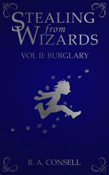 Volume 2: Burglary