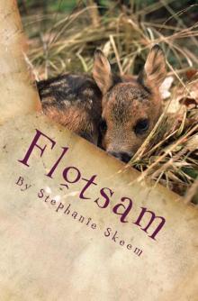 Flotsam