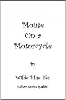 Mouse on a Motorcycle