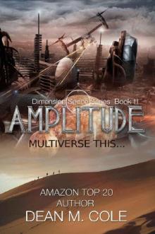 Amplitude