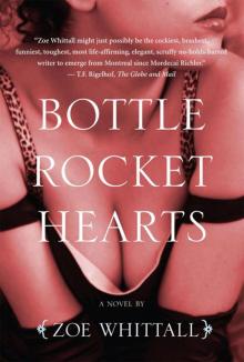 Bottle Rocket Hearts