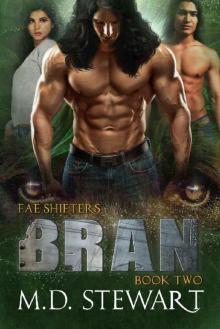 Bran (Fae Shifters Book 2)